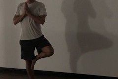 Gus-Tree-Shadow