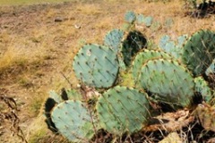 thumbnail_PHOTO-2023-03-30-17-12-18